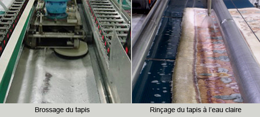 brossage et rinçage du tapis